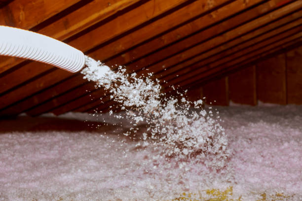 Best Insulation Repair Services  in Sparta, WI